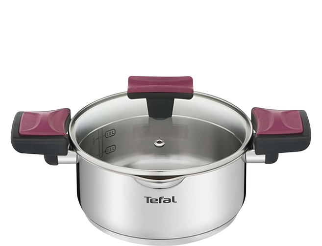 Tefal 特福 法國特福香頌不鏽鋼系列 雙耳湯鍋 附鍋蓋, 20cm, 銀色, 1組