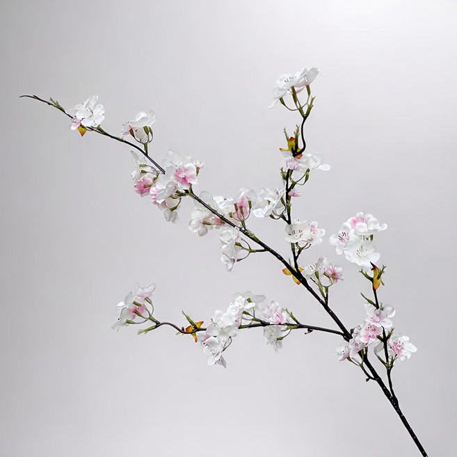 Floral M 上野初戀不凋謝仿真花花材白櫻花 白色 1個 花藝