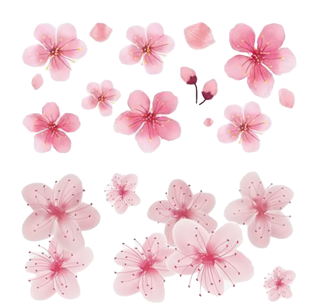 MIND WAVE 裝飾貼紙, 櫻花, 3個