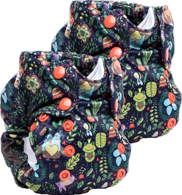 Smart Bottoms Diaper 2.0 布尿布 新生兒款 2.7-7.3 kg 美國產, Enchanted, 2件