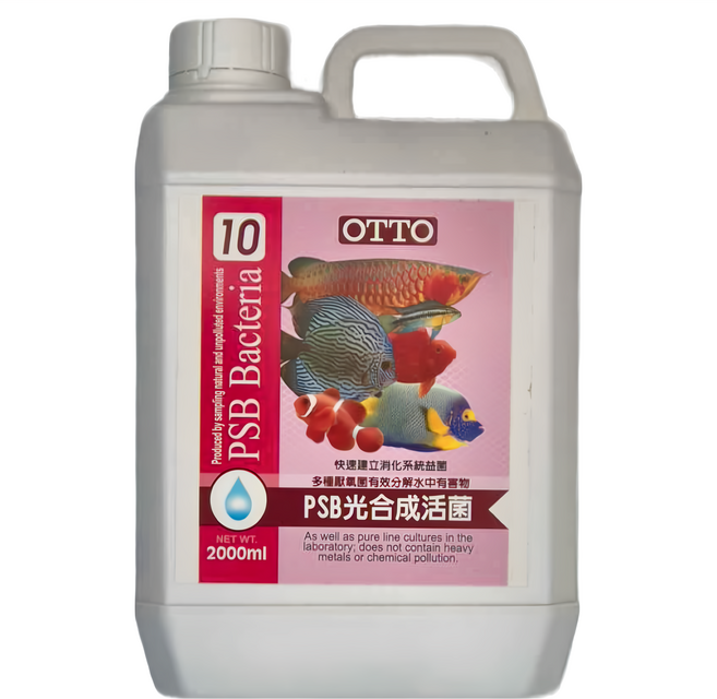 OTTO 建興水族 PSB 光合成活菌, 2000ml, 1瓶