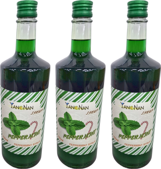 YANGNAN 仰南 薄荷香蜜風味糖漿, 750ml, 3瓶
