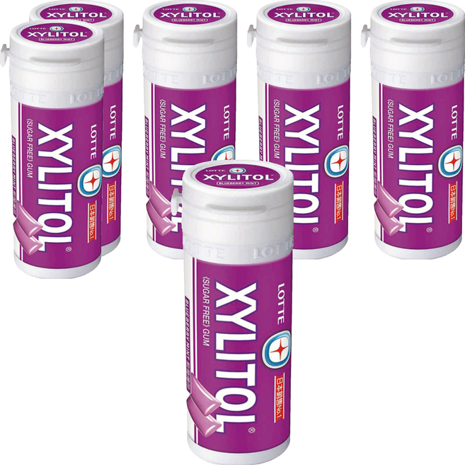 XYLITOL 藍莓薄荷無糖口香糖 口腔清新 健康維持, 26.1g, 6罐