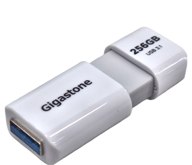 GIGASTONE 立達 隨身碟, 256GB, 1個