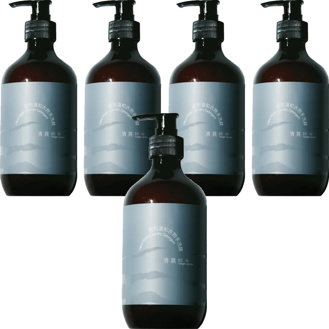 VIIGO 拾刻 溫和衣物手洗精 清晨拾光 含酵素及葡萄糖苷起泡劑 歐盟ECOCERT認證, 500g, 5瓶