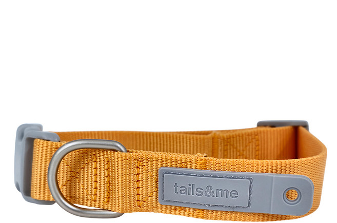 tails&me 尾巴與我 新經典 犬項圈 舒適圈弧扣 柔軟厚織尼龍 強韌安全縫 獨家配件扣, 杏黃色, 1條