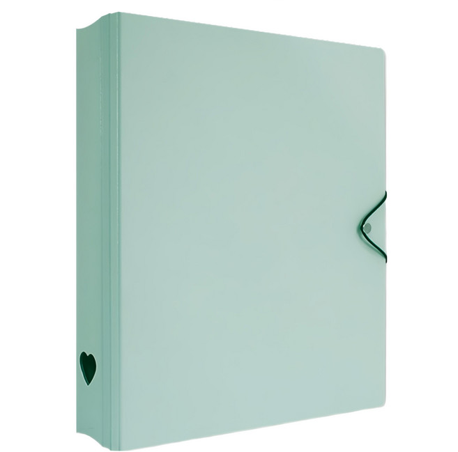 珠友文化 A4 D型夾集卡冊 有洞款 4孔, 綠色, 1個