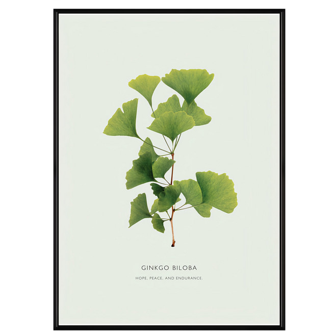 枝繁葉茂 銀杏葉 HOPE PEACE AND ENDURANCE, 黑色