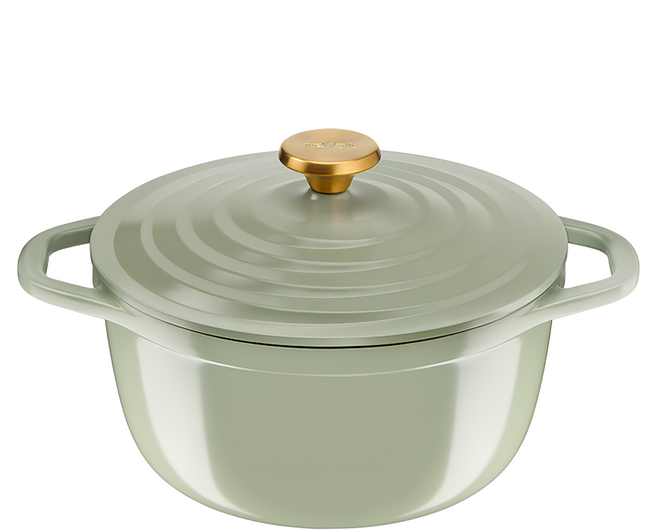 Tefal 特福 Air系列 陶瓷鑄造雙耳湯鍋 附鍋蓋, 24cm, 春芽綠, 1個