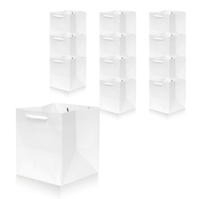 Lead Home 堅固耐用素色紙袋, 白色, 1個