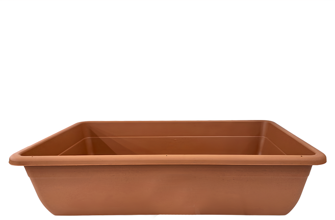 翠筠 菜圃, Brown, 1個