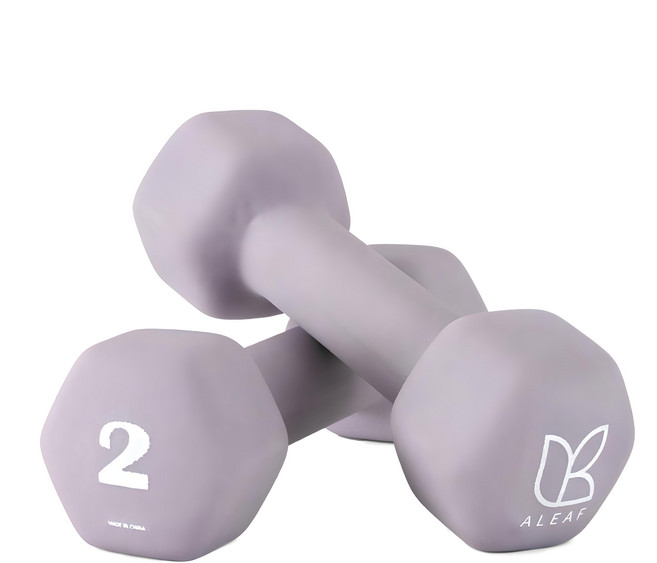 ALEAF 氯丁橡膠仙人掌啞鈴, 2個, 2kg