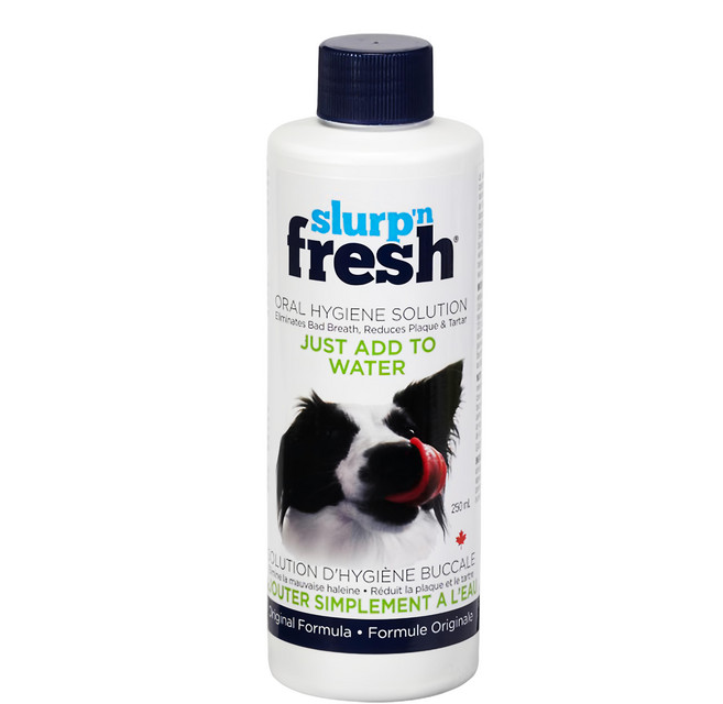 Enviro fresh 犬用潔牙水 成犬用, 1瓶, 250ml