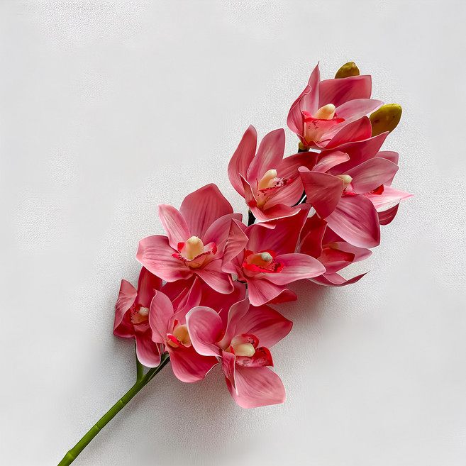 Floral M 花藝 仿真花 居家輕奢高級蝴蝶蘭, 1個, 公主粉