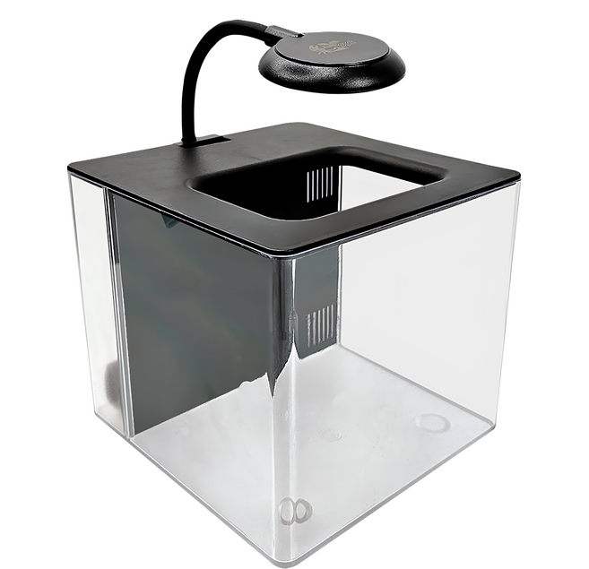 crab aqua 小螃蟹 懶人背濾缸, 黑色, 1個