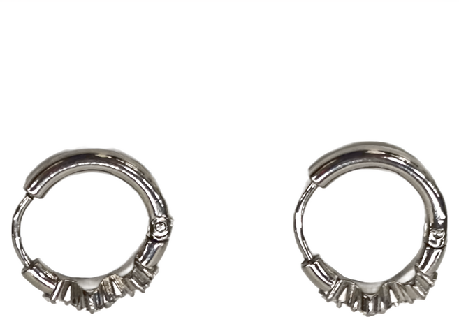 Brilliant Beauty 耀眼美人 W仙女座鋯石鑽圓圈環鈦閃耀/鈦剛耳環