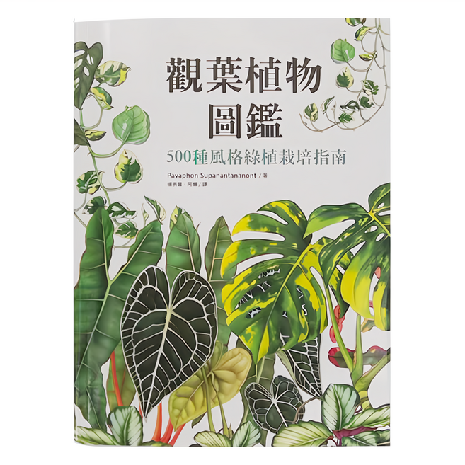 麥浩斯 觀葉植物圖鑑 500種風格綠植栽培指南