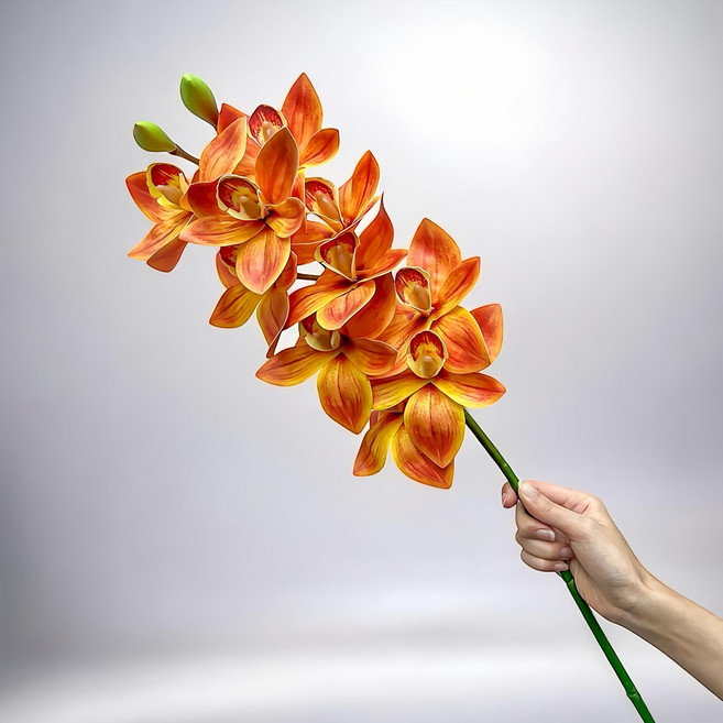 Floral M 花藝 仿真花 居家輕奢高級蝴蝶蘭, 1個, 愛馬仕橘