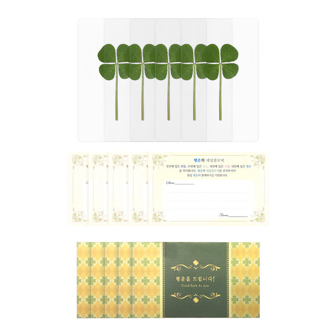Lucky Symbol 幸運四葉草真花護貝卡 + 信封 + 留言卡, 多色, 5套