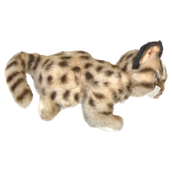 HANSA TOY 小石虎 7739 22cm, 棕色, 1個