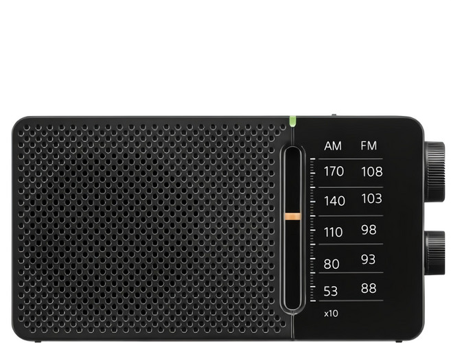 SANGEAN 山進電子 AM/FM 口袋式收音機, 黑色, SR36