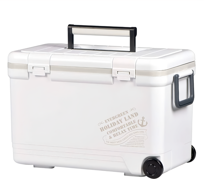 Shinwa 伸和 Holiday保冷冰箱 厚實隔層設計 不鏽鋼螺絲固定 舒適提手設計, 白色, 27L