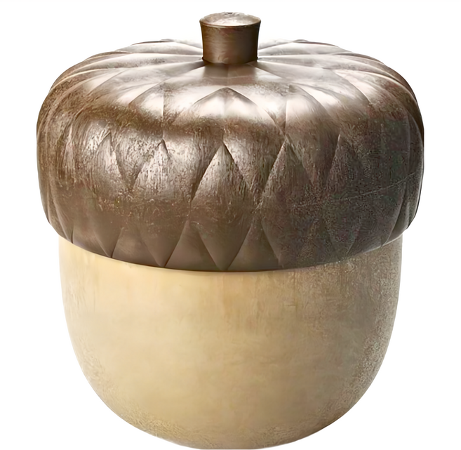 QUALy Acorntainer 橡果盒, 咖啡色, 1個