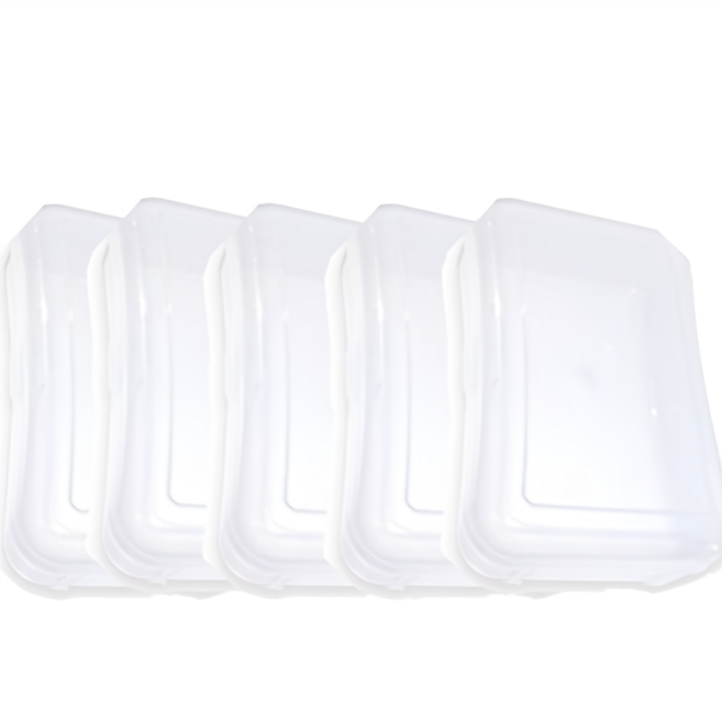 다용도 치발기보관케이스, 투명, 5개