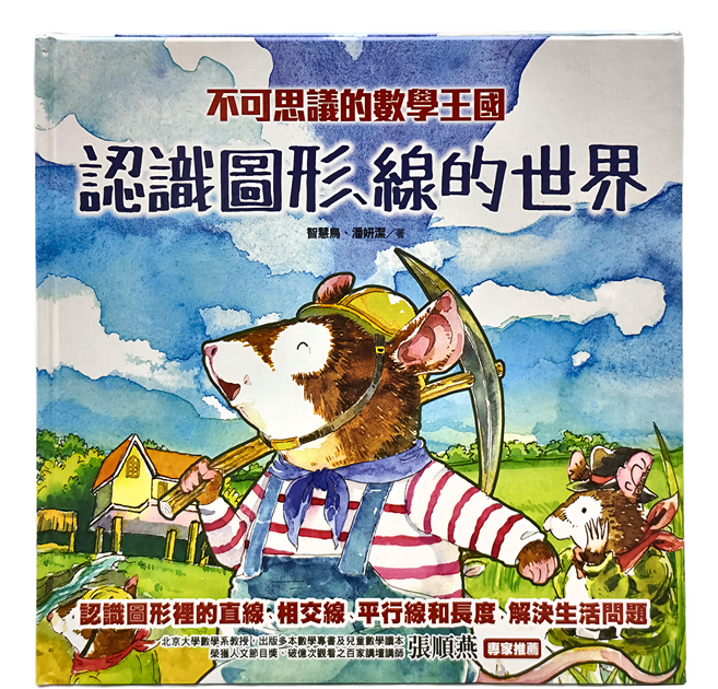 不可思議的數學王國：認識圖形、線的世界, 精裝