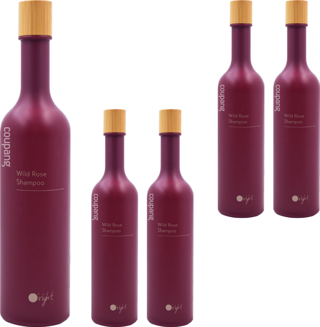 O'right 歐萊德 曠野玫瑰洗髮精 含玫瑰菁萃 輕盈保濕配方, 400ml, 5瓶