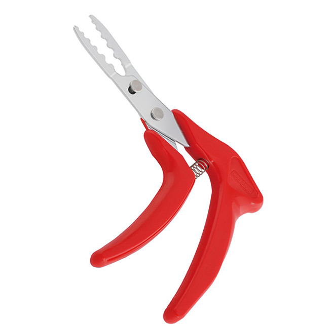 小美紀 勃朗峰草拔鋏 10Q, 1個