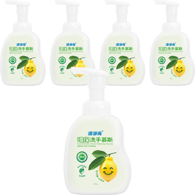 清淨海 環保洗手慕斯, 480g, 5瓶