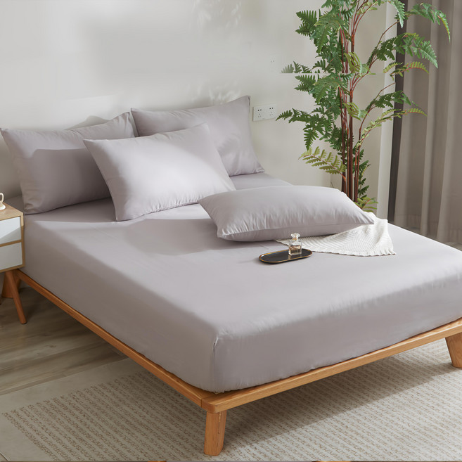 artis 雅緹絲寢具 A-ONE 親膚柔軟吸濕排汗磨毛加工處理素色床包 + 枕套 2個 台灣製