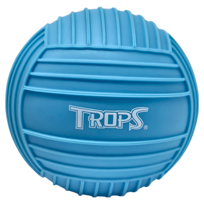 TROPS 特波士 無毒安全小排球 充氣回彈性佳 安全材質 玩具安全檢驗合格, 藍色, 1個