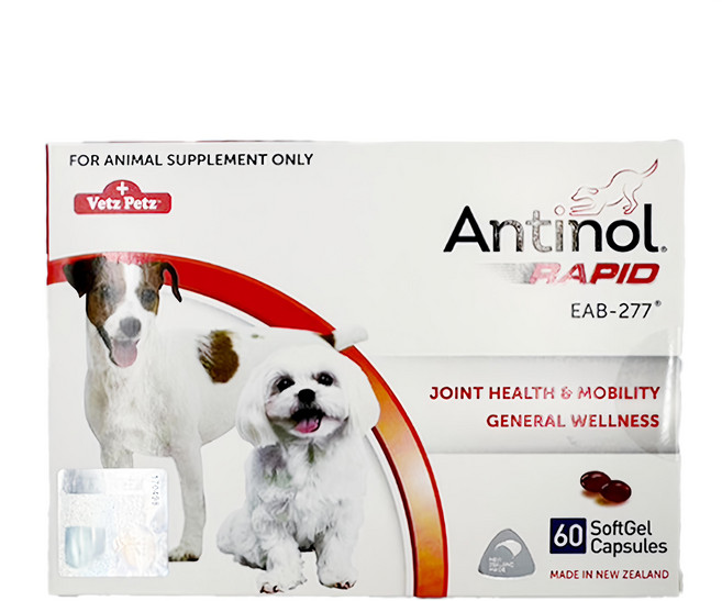 ANTINOL Rapid 酷版 犬用, 1盒, 維護骨骼/關節, 60顆