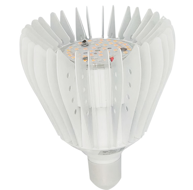 JIUNPEY 君沛光電 30W LED 植物燈泡 加強型, 紫外線光譜, 1個