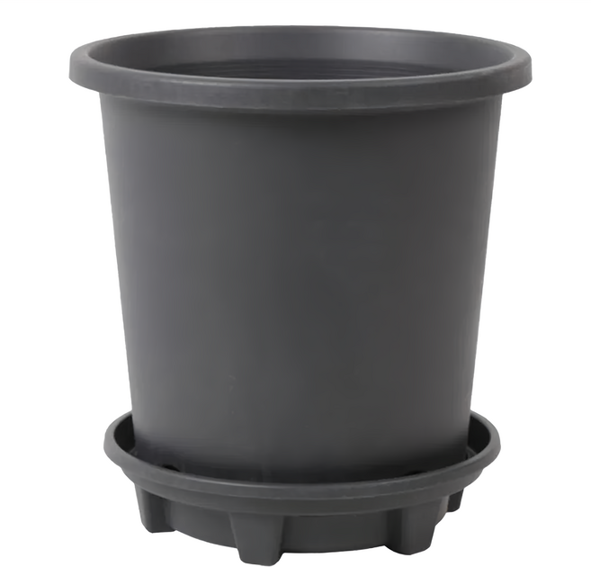 小果汀 7加侖樹脂加侖盆 Y390, 黑色, 1個