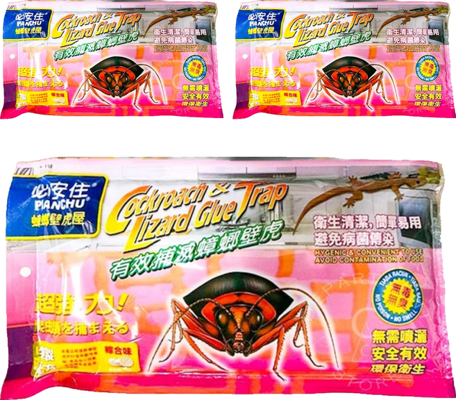 必安住 蟑螂壁虎屋 5入, 3組