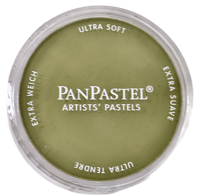 PANPASTEL 軟質藝術家盤粉彩餅 專家級, 1色, 1個
