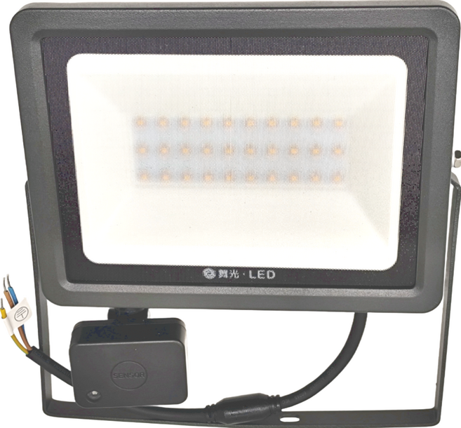 DANCELIGHT 舞光 30W 感應泛光燈 30K 黃光, 1個