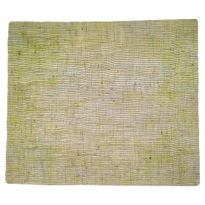 modern-twist 經典餐墊, 蘋果綠色, 40 x 35cm, 1個