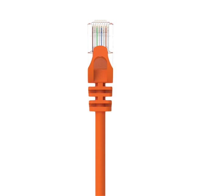 POLYWELL 寶利威爾 CAT6 高速網路線 RJ45 福祿克認證 PW15-W58-F005, 橘色, 1條, 0.5m