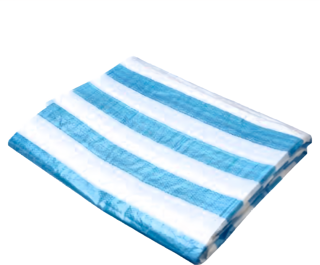 TRENY 防水帆布 20 x 20尺 藍白條紋 戶外遮陽 防雨, 1個