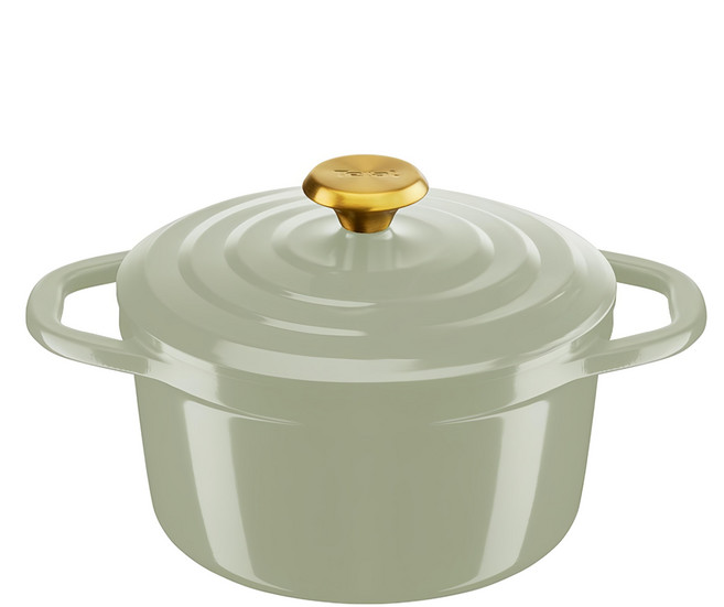 Tefal 特福 IH電磁爐適用Air雙耳鑄鐵鍋 淡綠色 1個 20cm