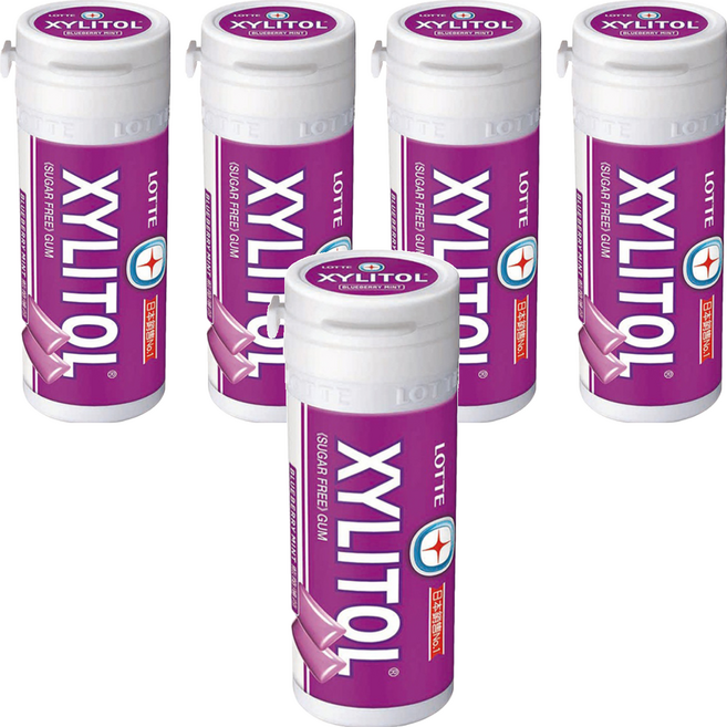 XYLITOL 藍莓薄荷無糖口香糖 口腔清新 健康維持, 26.1g, 5罐