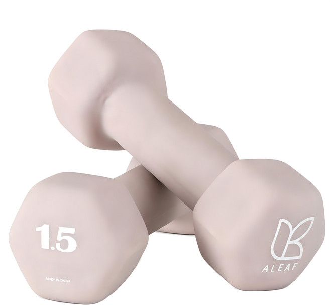 ALEAF 仙人掌潛水布啞鈴, 2個, 1.5kg