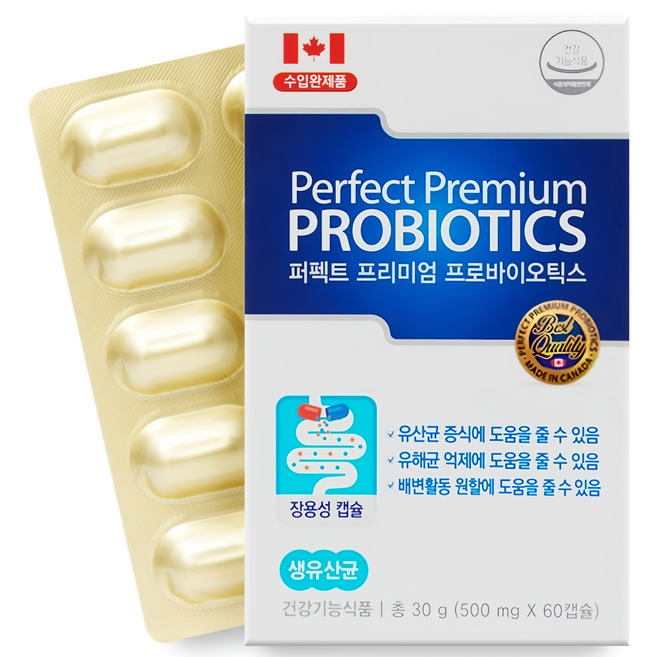 캐나다 모유 L람노서스 GG 유산균 프로바이오틱스 500억 투입 100억 보장 신바이오틱스, 60회분, 1박스