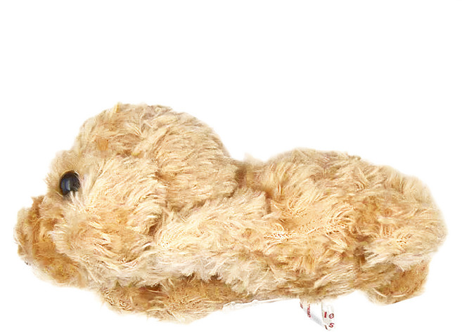 Little Beans 狗狗 絨毛 玩偶貴賓狗, 棕色, 1個