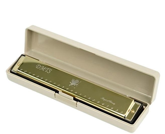 Onbiu 經典專業用 24孔口琴, 單一商品, 金黃色, 1個