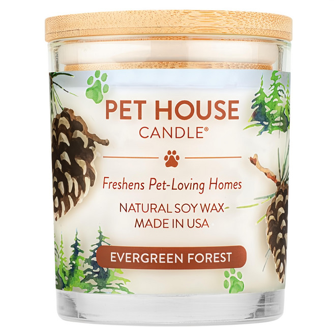 PET HOUSE 室內除臭寵物香氛蠟燭 翡翠松林, 255g, 1罐